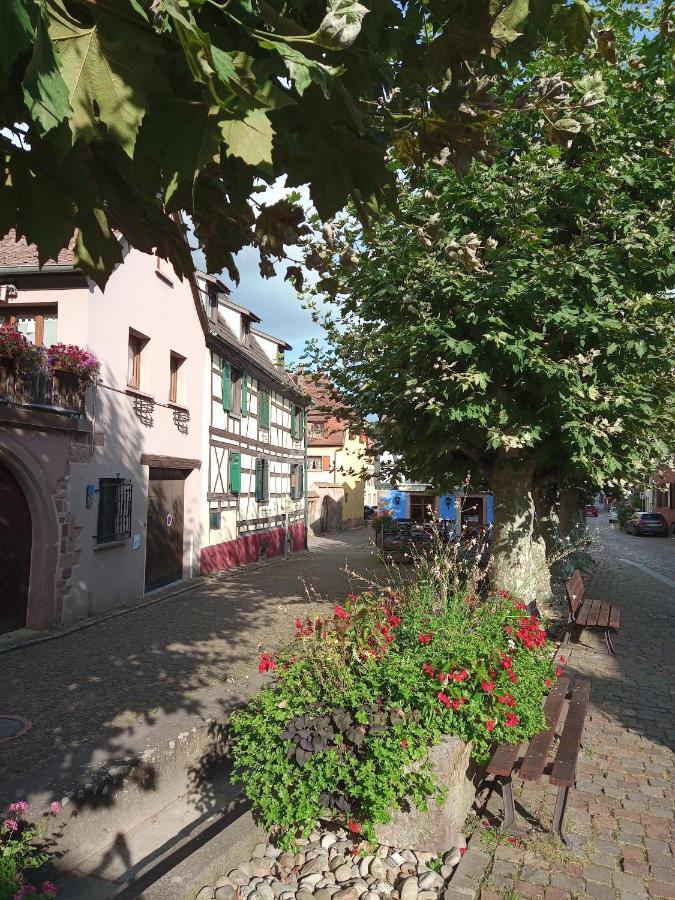 Gites Aux Fines Bulles D'Alsace Spa Privatif En Supplement Bergheim Exterior photo